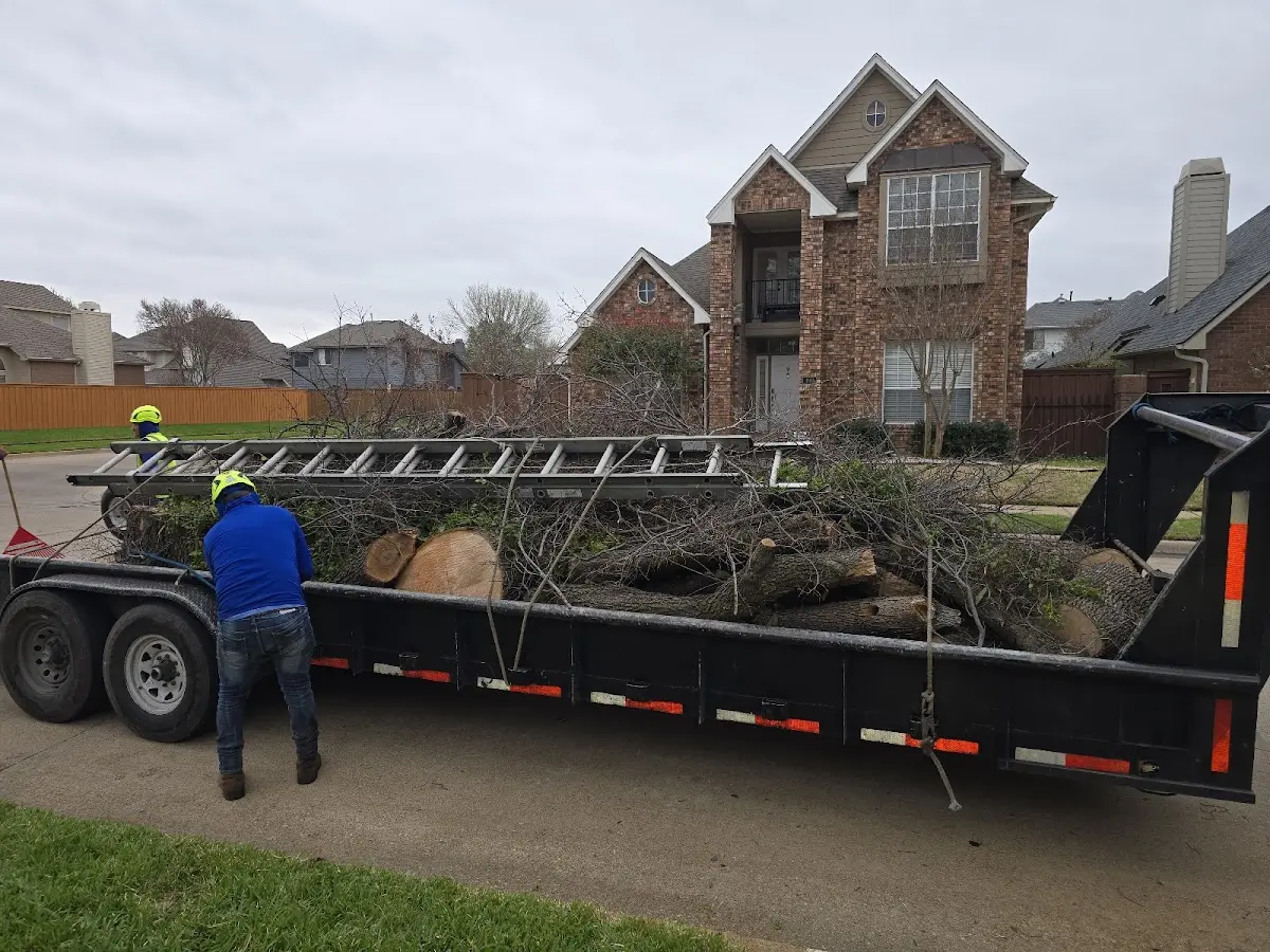 Expert Tree Fertilization with proper safety equipment in Alton
